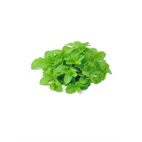 MINCHI Leaves - 500g