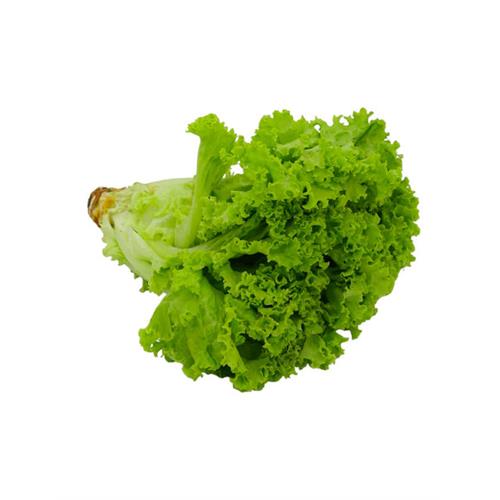 SALAD Leaves - 500g