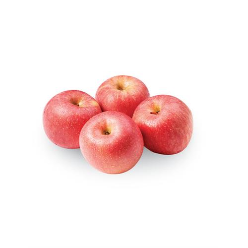 APPLE Pink Lady, 3's (about 500g)