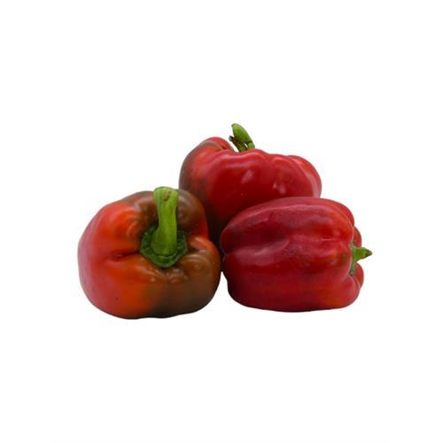 BELL Pepper, Red - 1Kg