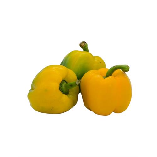 BELL Pepper, Yellow - 1Kg