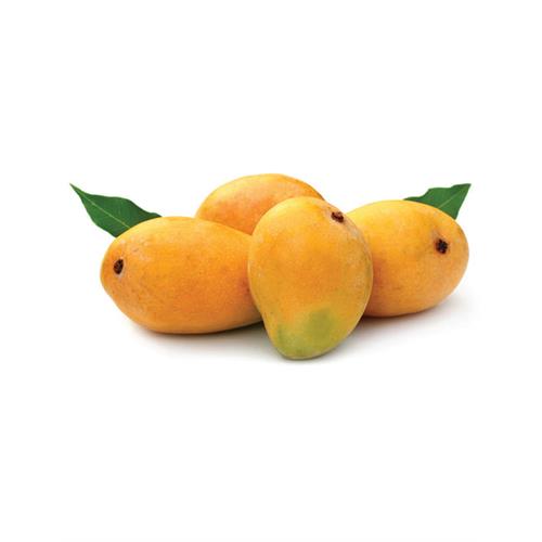 MANGO TJC, each (about 500g) - 500g