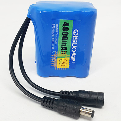 12V 4000mAh Rechargeable Li-ion Battery (BA0190)