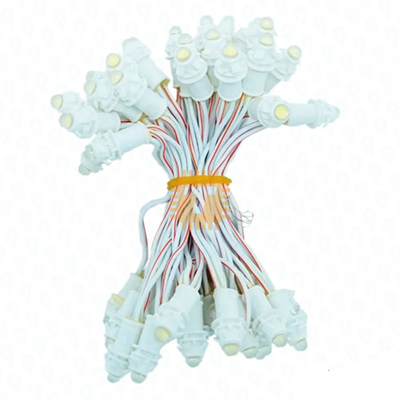 LED Bulb Set 50pcs 12V Warm White (LE0129)