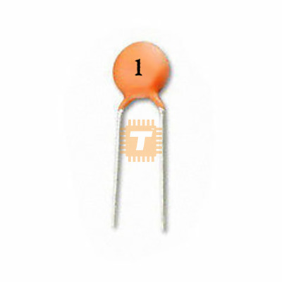 1pF Ceramic Capacitor THT (CA0134)