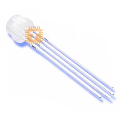 LED 5mm RGB Diffused Common Anode (Flat Top) (LE0020)