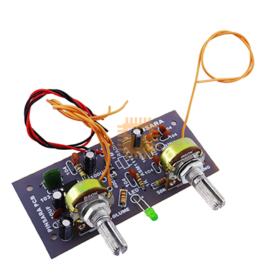 Pinsara FM Module Kit with Amplifier (MD1008)