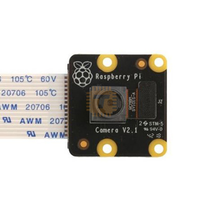 Raspberry Pi NoIR Camera V2 Sony IMX219 Sensor 8 Megapixel (Original) (MD0144)