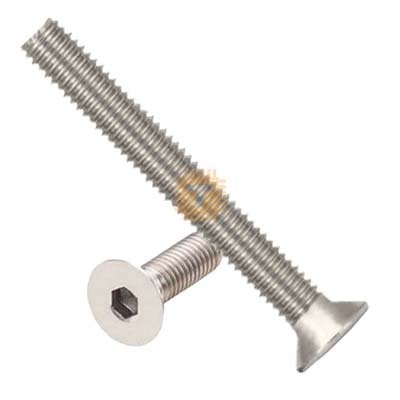 M3 20mm Stainless Steel Hex Flat Socket Head Countersunk Screw (TA0840)