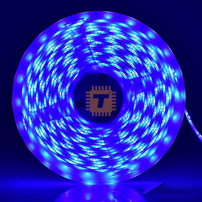 Waterproof LED Strip 12V SMD2835 300pcs 5m Blue (LE0136)