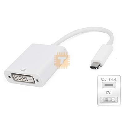 USB Type C to DVI Converter (TA0897)