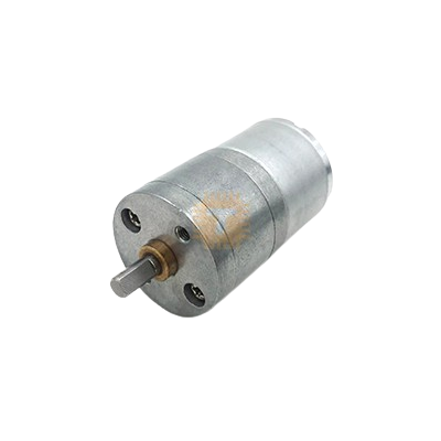 Gear Motor 12V 160RPM 25GA-310 (RB0195)