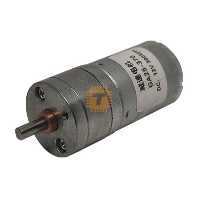 Gear Motor 12V 300RPM 25GA-370 (RB0197)