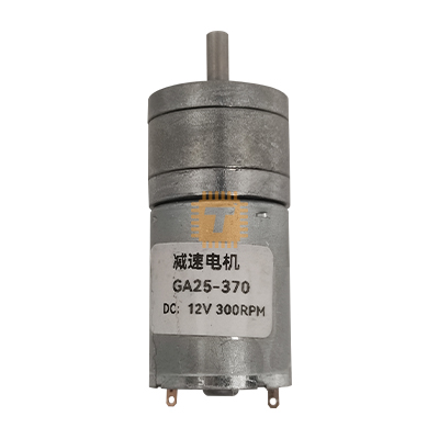 Gear Motor 24V 300RPM 25GA-370 (RB0198)