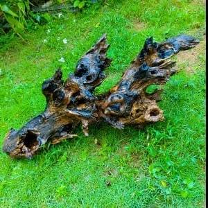 Driftwood for aquarium.