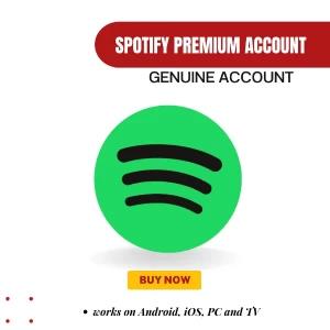 Spotify Premium (3 Months)