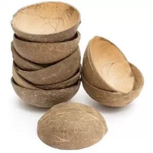 10 Pcs Dry Coconut Shell Without Fiber But Not Smooth Natura