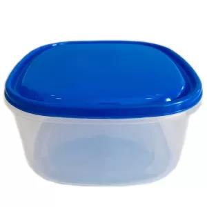 Dark Blue 1 Piece Visual Plastic Food Container (LARGE Blue)