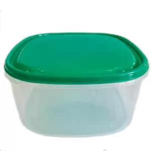Dark Green 1 Piece Visual Plastic Food Container (Deep Green