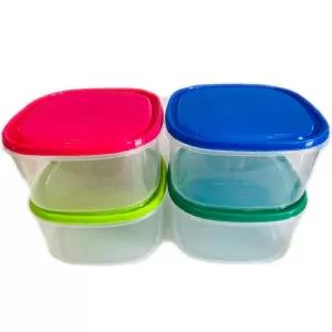 Multi Color 4 Pieces Visual Plastic Food Containers Set (LAR