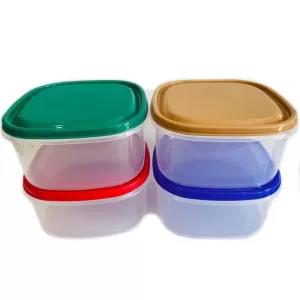 Multi Color 4 Pieces Visual Plastic Food Containers Set (MED