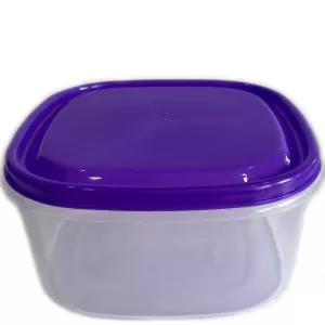 Purple 1 Piece Visual Plastic Food Container (MEDIUM Purple)