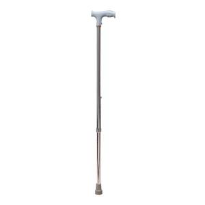 Walking Stick 2 Folding