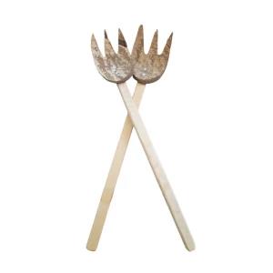 E&C Agro Coconut Scrape Noodle Spoon