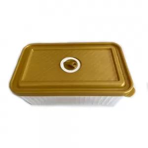 Gold 1 Piece Transparent Plastic Food Container (RECTANGULAR
