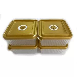 Gold 4 Pieces Transparent Plastic Food Containers Set (SQUAR