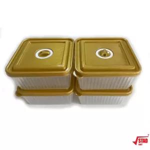 Gold 4 Pieces Transparent Plastic Food Containers Set (SQUAR