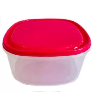 Hot Pink 1 Piece Visual Plastic Food Container (Pink LARGE)