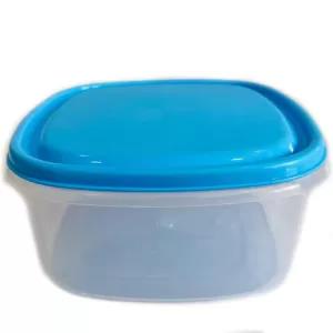Light Blue 1 Piece Visual Plastic Food Container (SMALL Ligh