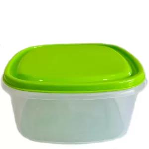 Light Green 1 Piece Visual Plastic Food Container (SMALL Lig