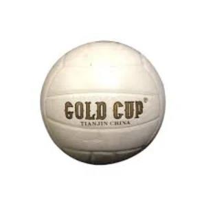 Gold Cup Vollyball