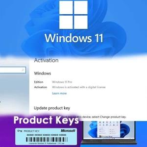 Microsoft Windows 11 Pro Lifetime Activation Key