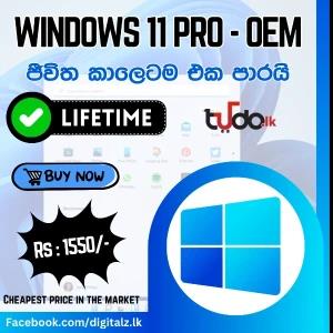 Microsoft Windows 11 Pro OEM Activation Key Lifetime