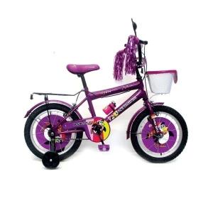 DSI 16 Inch BMX Kid's Bicycle