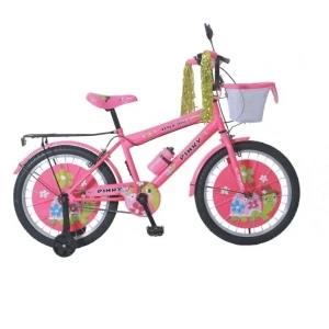 DSI 20 Inch BMX Kid's Bicycle