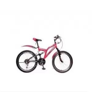 Dsi 26 Inch 21 Speed Dual Suspension Bicycle