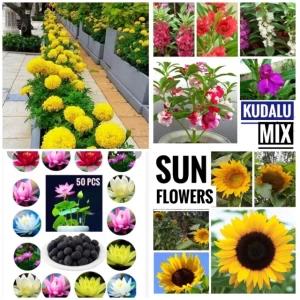 Flowers variety package home garden