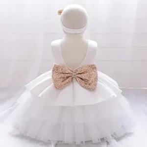 Generic Baby Girls 1st Birthday Dress Lace Mesh Sequin