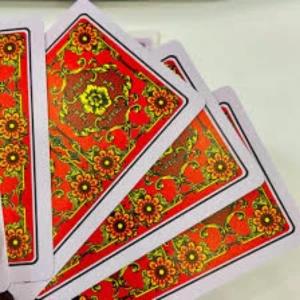 Waterproof PVC Plastic Playing