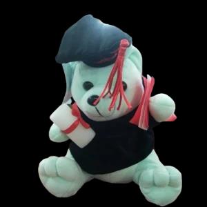 Graduation Teddy Bear