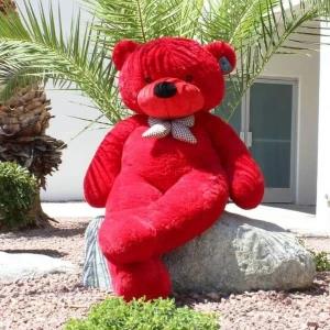 teddy bear 6'