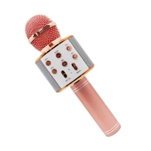 Karaoke Microphone Hifi Speaker