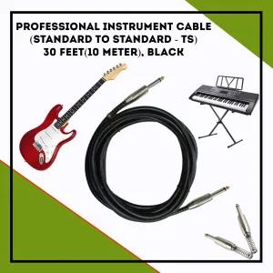 Generic Professional Instrument Cable TS to TS 30 Feet