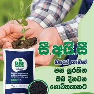 Bio Carbon Organic Compost Granular Fertilizer 5kg