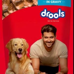 Drools Chicken & Liver Chunks in Gravy Adult Pouch