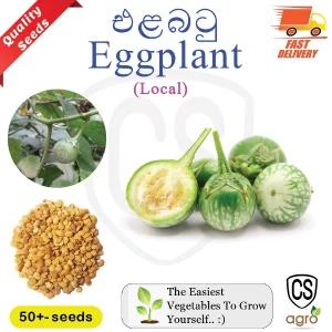 Brinjal Ela Batu Seeds